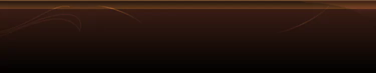 background category section